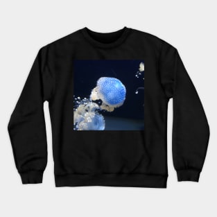 Jellyfish Crewneck Sweatshirt